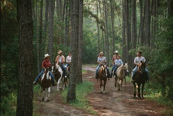 Disneys Fort Wilderness Resort And Campground Lake Buena Vista Exteriér fotografie