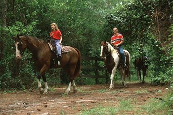 Disneys Fort Wilderness Resort And Campground Lake Buena Vista Exteriér fotografie